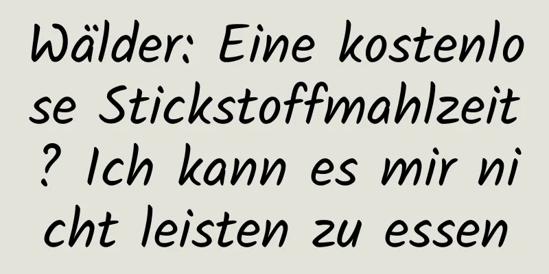 Wälder: Eine kostenlose Stickstoffmahlzeit? Ich kann es mir nicht leisten zu essen