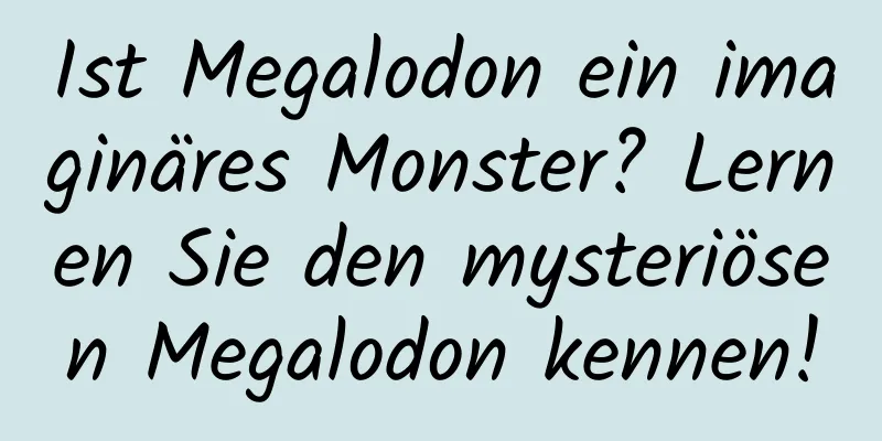 Ist Megalodon ein imaginäres Monster? Lernen Sie den mysteriösen Megalodon kennen!