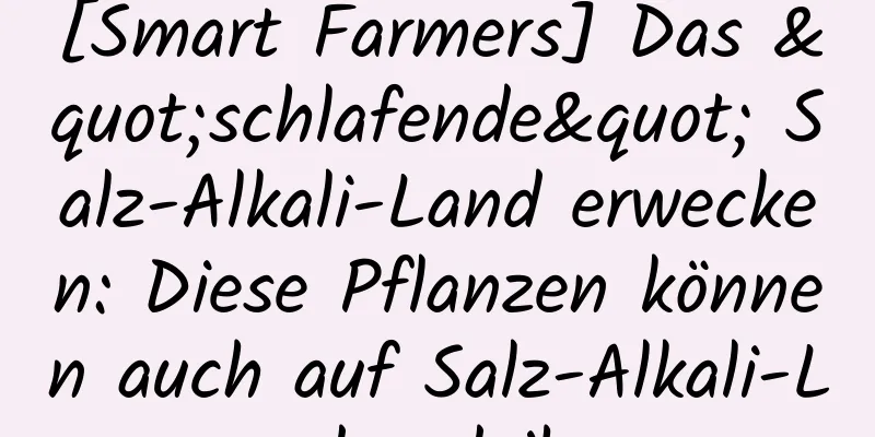 [Smart Farmers] Das "schlafende" Salz-Alkali-Land erwecken: Diese Pflanzen können auch auf Salz-Alkali-Land gedeihen