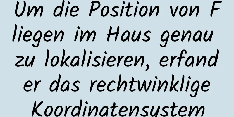 Um die Position von Fliegen im Haus genau zu lokalisieren, erfand er das rechtwinklige Koordinatensystem