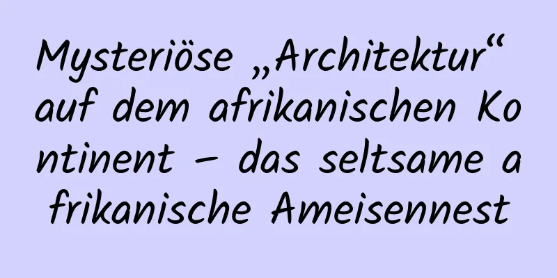 Mysteriöse „Architektur“ auf dem afrikanischen Kontinent – ​​das seltsame afrikanische Ameisennest