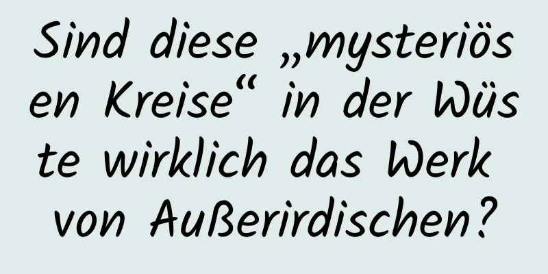 Sind diese „mysteriösen Kreise“ in der Wüste wirklich das Werk von Außerirdischen?