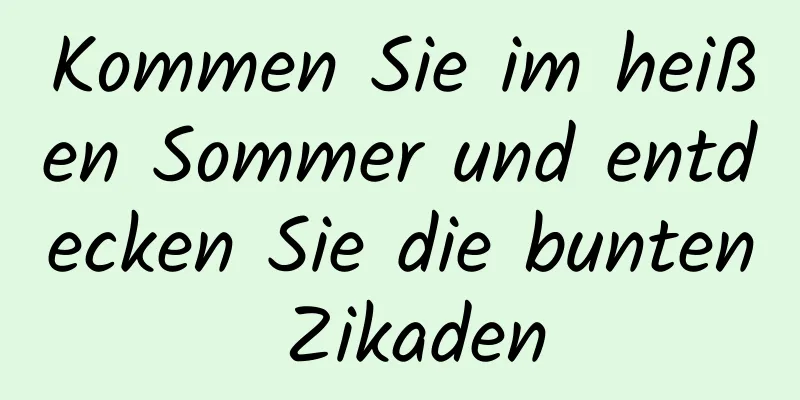 Kommen Sie im heißen Sommer und entdecken Sie die bunten Zikaden