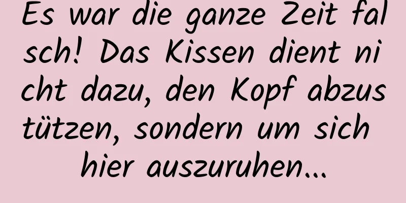 Es war die ganze Zeit falsch! Das Kissen dient nicht dazu, den Kopf abzustützen, sondern um sich hier auszuruhen...