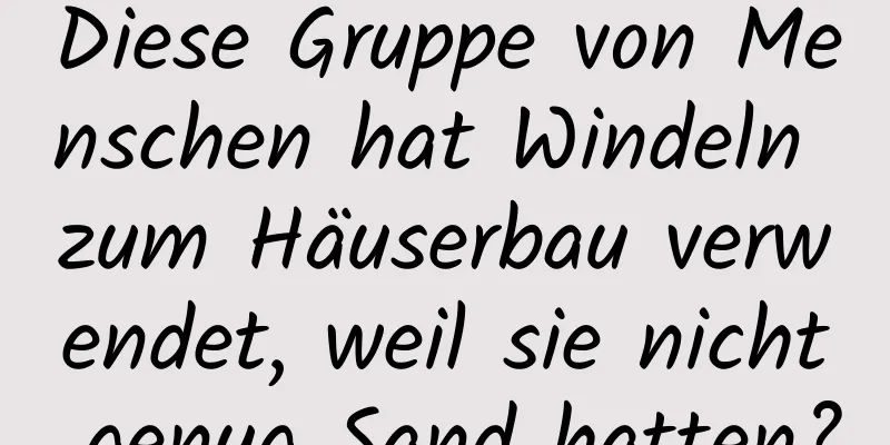 Diese Gruppe von Menschen hat Windeln zum Häuserbau verwendet, weil sie nicht genug Sand hatten?