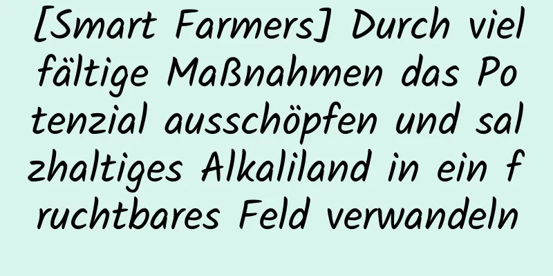 [Smart Farmers] Durch vielfältige Maßnahmen das Potenzial ausschöpfen und salzhaltiges Alkaliland in ein fruchtbares Feld verwandeln
