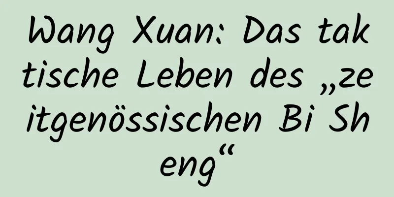 Wang Xuan: Das taktische Leben des „zeitgenössischen Bi Sheng“