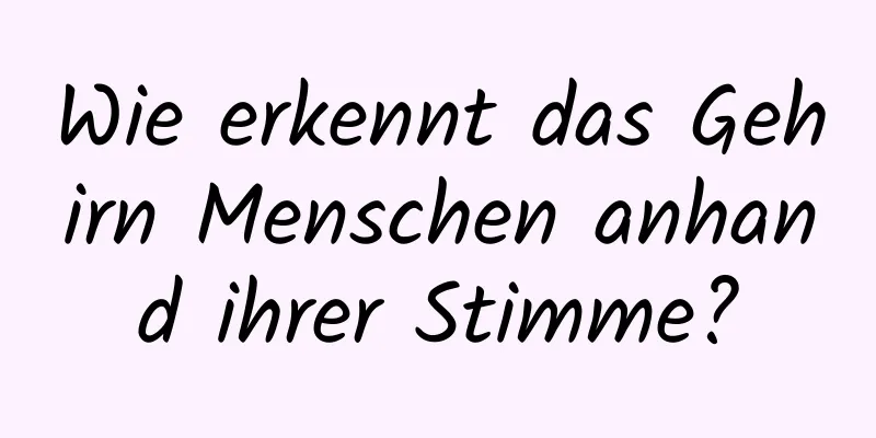 Wie erkennt das Gehirn Menschen anhand ihrer Stimme?