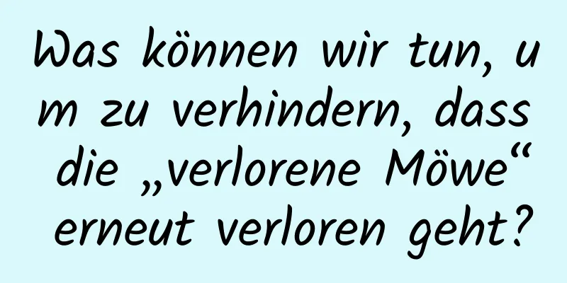 Was können wir tun, um zu verhindern, dass die „verlorene Möwe“ erneut verloren geht?