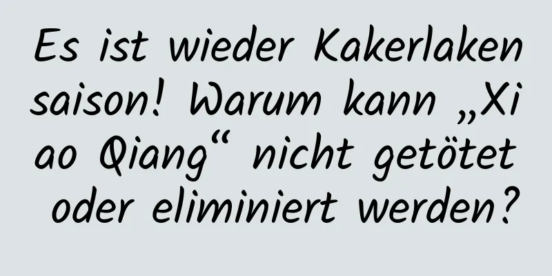 Es ist wieder Kakerlakensaison! Warum kann „Xiao Qiang“ nicht getötet oder eliminiert werden?