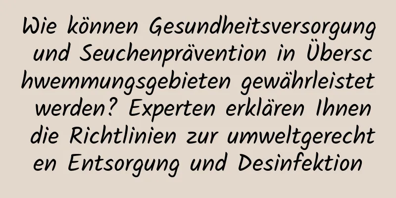 Wie können Gesundheitsversorgung und Seuchenprävention in Überschwemmungsgebieten gewährleistet werden? Experten erklären Ihnen die Richtlinien zur umweltgerechten Entsorgung und Desinfektion