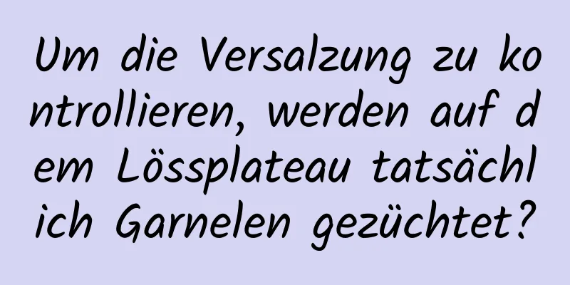 Um die Versalzung zu kontrollieren, werden auf dem Lössplateau tatsächlich Garnelen gezüchtet?