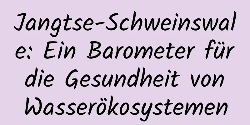 Jangtse-Schweinswale: Ein Barometer für die Gesundheit von Wasserökosystemen