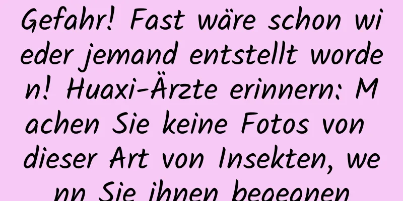 Gefahr! Fast wäre schon wieder jemand entstellt worden! Huaxi-Ärzte erinnern: Machen Sie keine Fotos von dieser Art von Insekten, wenn Sie ihnen begegnen