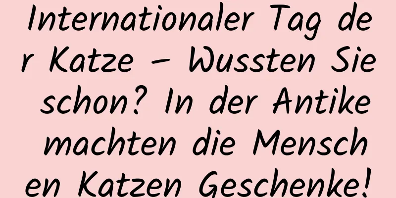 Internationaler Tag der Katze – Wussten Sie schon? In der Antike machten die Menschen Katzen Geschenke!