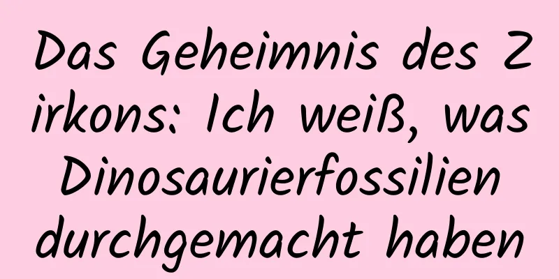 Das Geheimnis des Zirkons: Ich weiß, was Dinosaurierfossilien durchgemacht haben