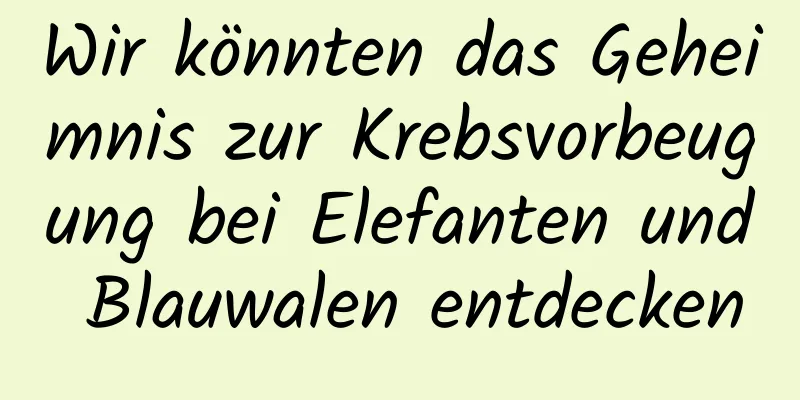 Wir könnten das Geheimnis zur Krebsvorbeugung bei Elefanten und Blauwalen entdecken