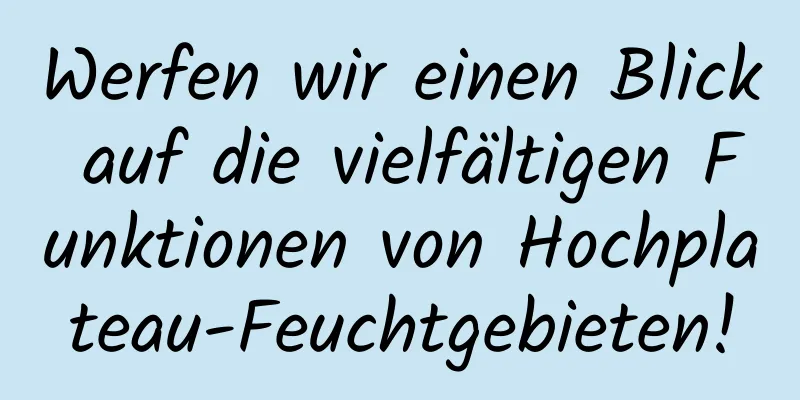 Werfen wir einen Blick auf die vielfältigen Funktionen von Hochplateau-Feuchtgebieten!