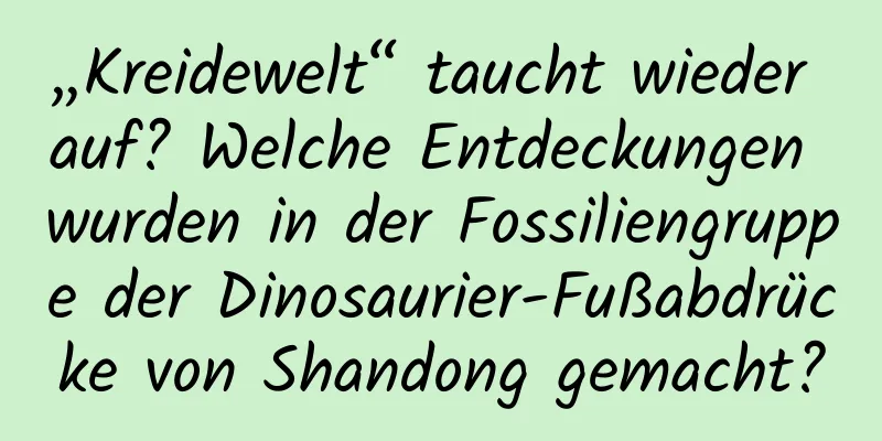„Kreidewelt“ taucht wieder auf? Welche Entdeckungen wurden in der Fossiliengruppe der Dinosaurier-Fußabdrücke von Shandong gemacht?