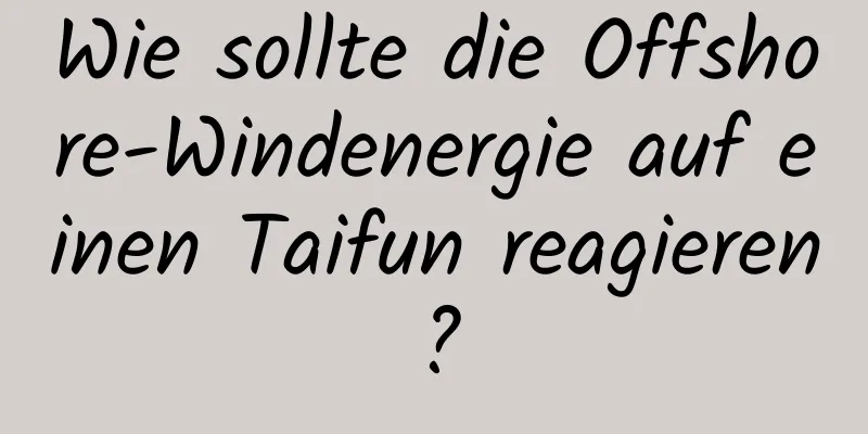 Wie sollte die Offshore-Windenergie auf einen Taifun reagieren?