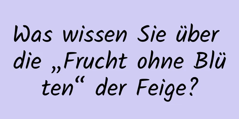 Was wissen Sie über die „Frucht ohne Blüten“ der Feige?
