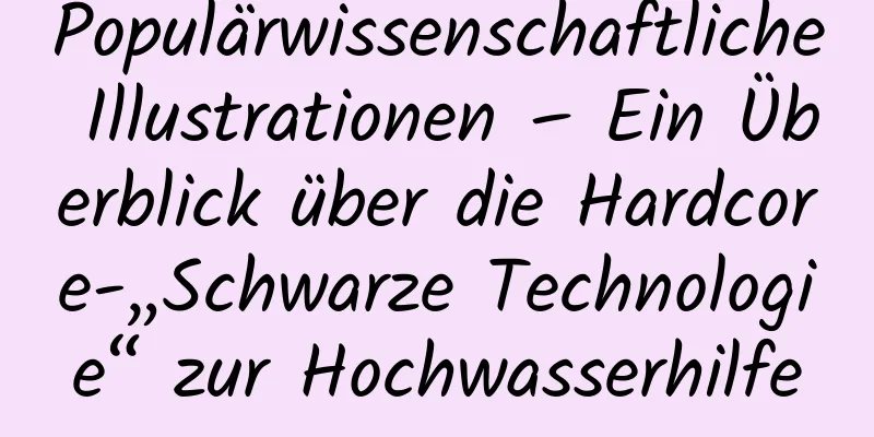Populärwissenschaftliche Illustrationen – Ein Überblick über die Hardcore-„Schwarze Technologie“ zur Hochwasserhilfe