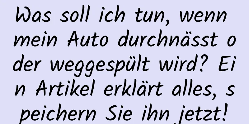 Was soll ich tun, wenn mein Auto durchnässt oder weggespült wird? Ein Artikel erklärt alles, speichern Sie ihn jetzt!