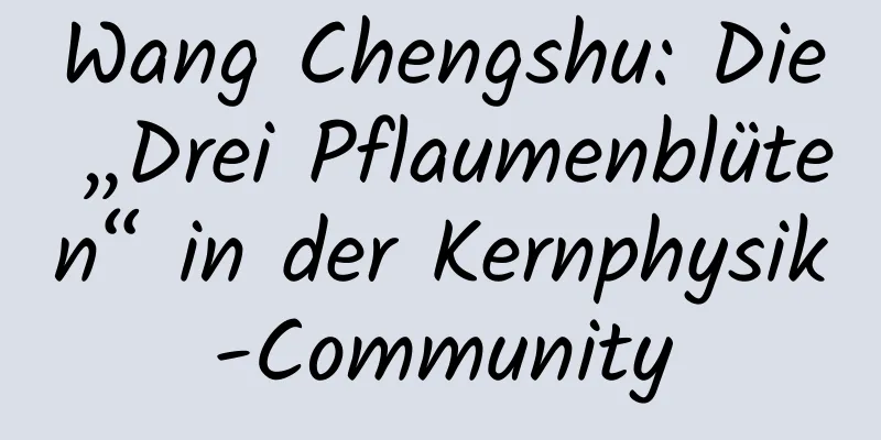 Wang Chengshu: Die „Drei Pflaumenblüten“ in der Kernphysik-Community
