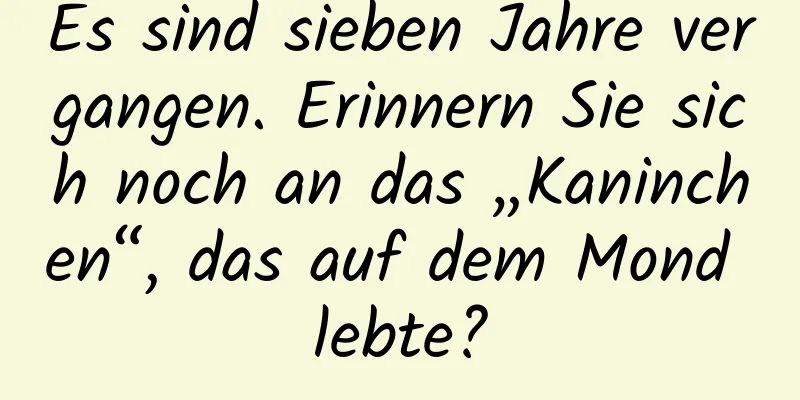 Es sind sieben Jahre vergangen. Erinnern Sie sich noch an das „Kaninchen“, das auf dem Mond lebte?