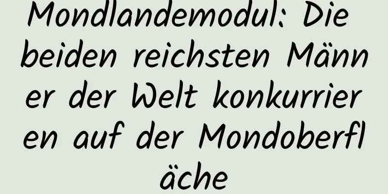Mondlandemodul: Die beiden reichsten Männer der Welt konkurrieren auf der Mondoberfläche