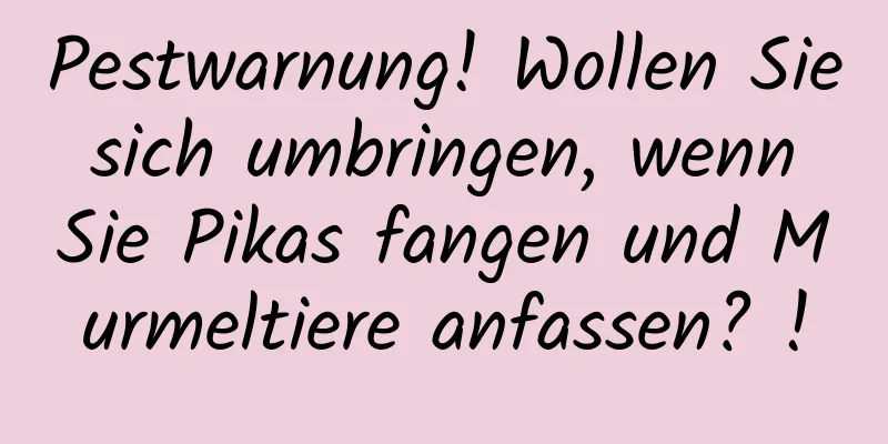 Pestwarnung! Wollen Sie sich umbringen, wenn Sie Pikas fangen und Murmeltiere anfassen? !
