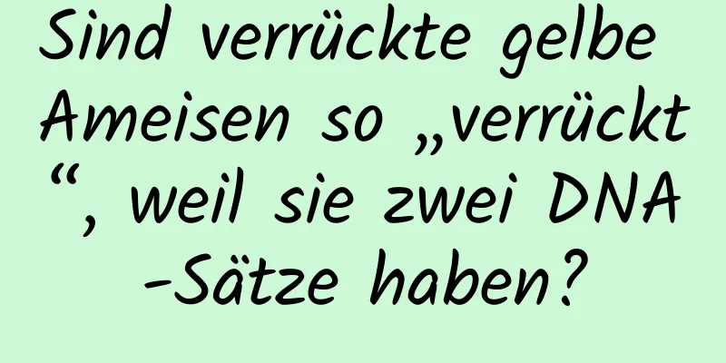 Sind verrückte gelbe Ameisen so „verrückt“, weil sie zwei DNA-Sätze haben?