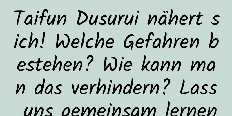 Taifun Dusurui nähert sich! Welche Gefahren bestehen? Wie kann man das verhindern? Lass uns gemeinsam lernen