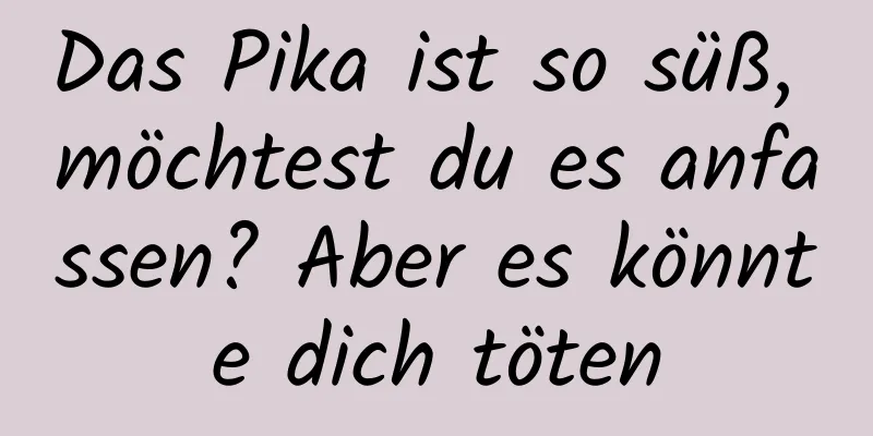 Das Pika ist so süß, möchtest du es anfassen? Aber es könnte dich töten
