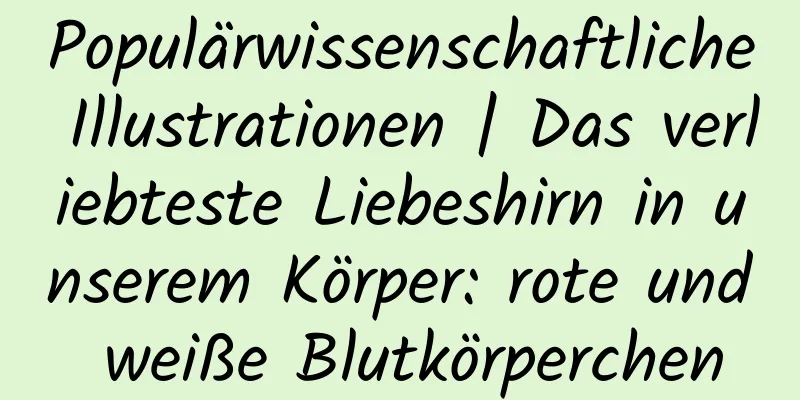 Populärwissenschaftliche Illustrationen | Das verliebteste Liebeshirn in unserem Körper: rote und weiße Blutkörperchen