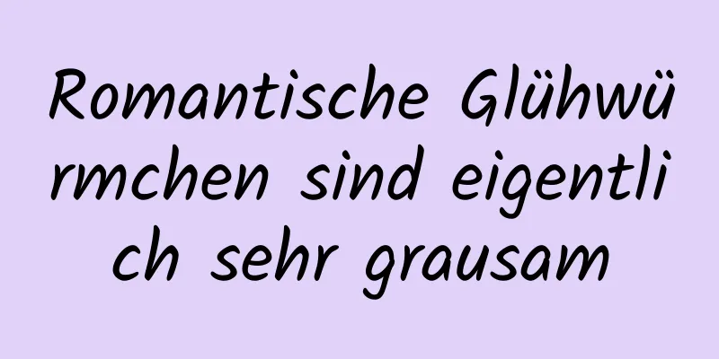 Romantische Glühwürmchen sind eigentlich sehr grausam