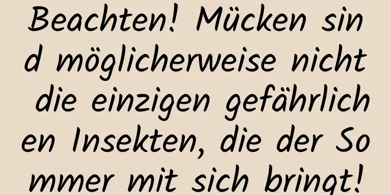 Beachten! Mücken sind möglicherweise nicht die einzigen gefährlichen Insekten, die der Sommer mit sich bringt!