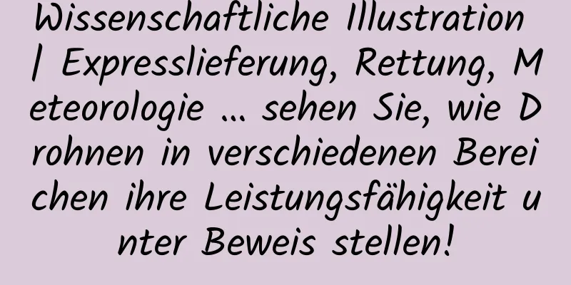 Wissenschaftliche Illustration | Expresslieferung, Rettung, Meteorologie … sehen Sie, wie Drohnen in verschiedenen Bereichen ihre Leistungsfähigkeit unter Beweis stellen!