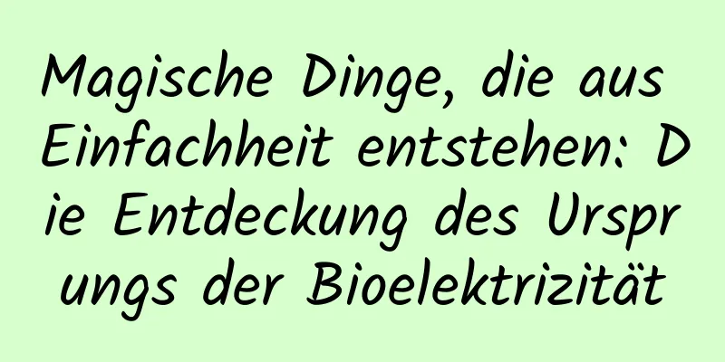 Magische Dinge, die aus Einfachheit entstehen: Die Entdeckung des Ursprungs der Bioelektrizität