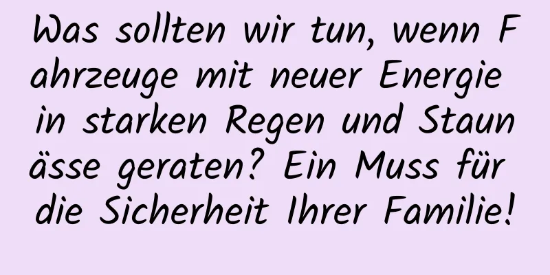 Was sollten wir tun, wenn Fahrzeuge mit neuer Energie in starken Regen und Staunässe geraten? Ein Muss für die Sicherheit Ihrer Familie!
