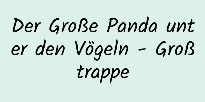 Der Große Panda unter den Vögeln - Großtrappe
