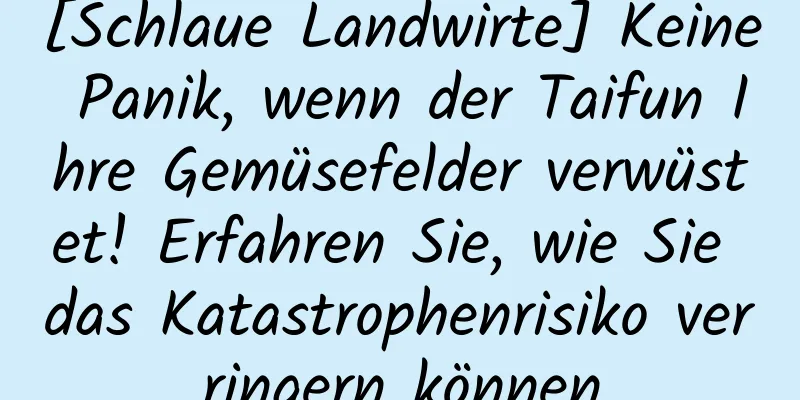 [Schlaue Landwirte] Keine Panik, wenn der Taifun Ihre Gemüsefelder verwüstet! Erfahren Sie, wie Sie das Katastrophenrisiko verringern können