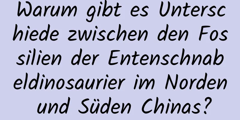 Warum gibt es Unterschiede zwischen den Fossilien der Entenschnabeldinosaurier im Norden und Süden Chinas?