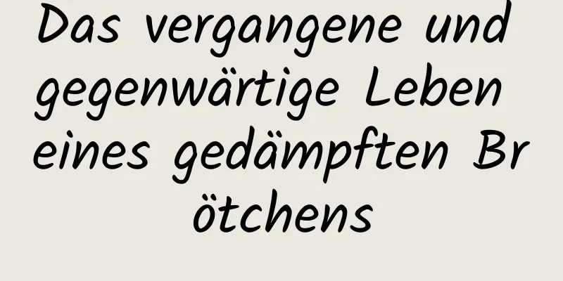 Das vergangene und gegenwärtige Leben eines gedämpften Brötchens