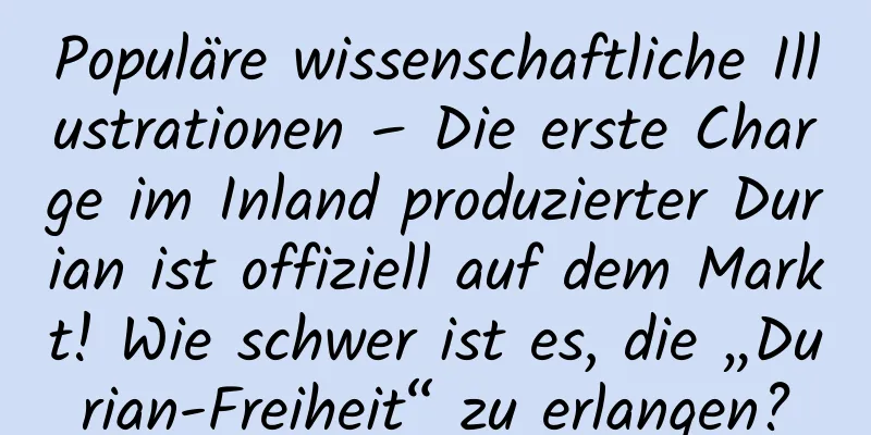 Populäre wissenschaftliche Illustrationen – Die erste Charge im Inland produzierter Durian ist offiziell auf dem Markt! Wie schwer ist es, die „Durian-Freiheit“ zu erlangen?