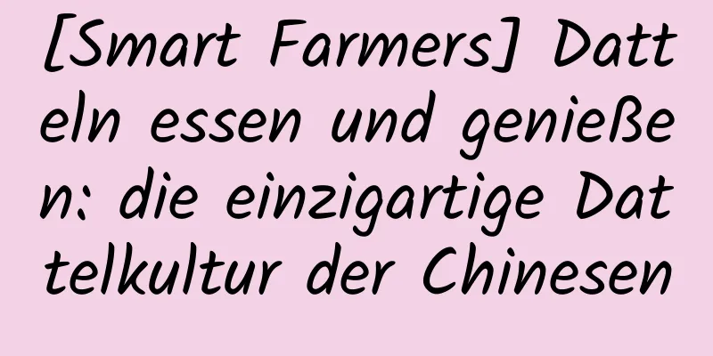 [Smart Farmers] Datteln essen und genießen: die einzigartige Dattelkultur der Chinesen