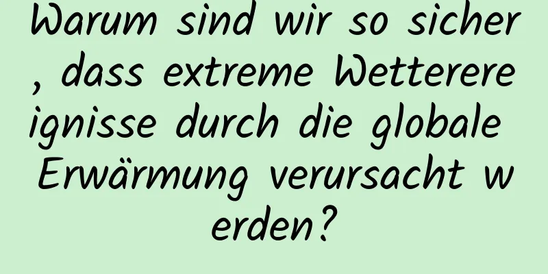 Warum sind wir so sicher, dass extreme Wetterereignisse durch die globale Erwärmung verursacht werden?