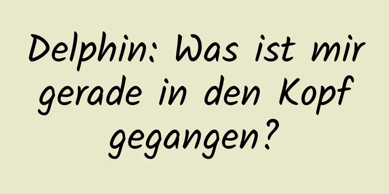 Delphin: Was ist mir gerade in den Kopf gegangen?