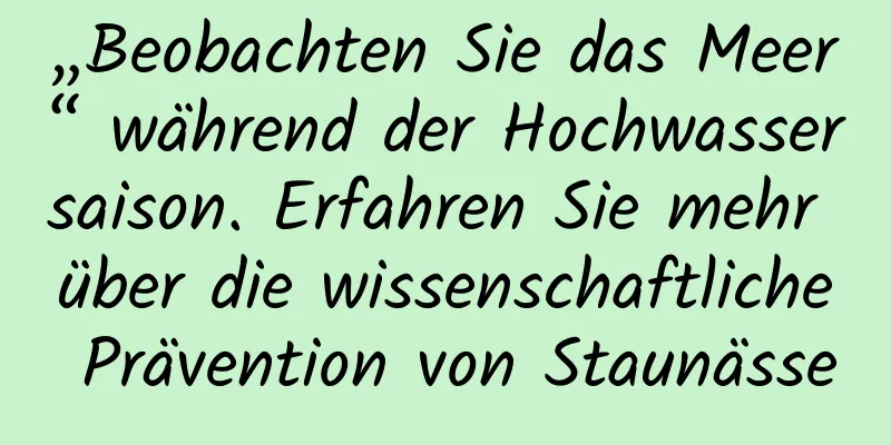 „Beobachten Sie das Meer“ während der Hochwassersaison. Erfahren Sie mehr über die wissenschaftliche Prävention von Staunässe