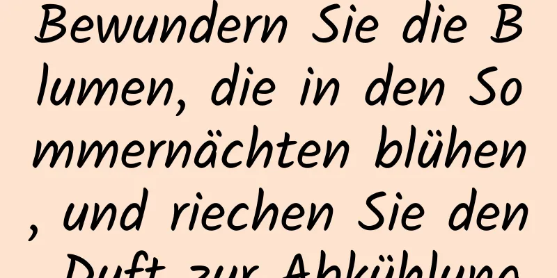 Bewundern Sie die Blumen, die in den Sommernächten blühen, und riechen Sie den Duft zur Abkühlung